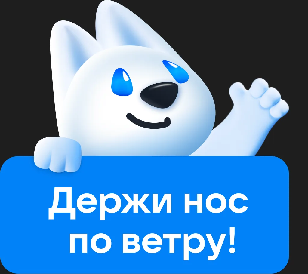 «Держи нос по ветру!»
